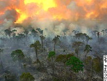 story.rainforest.fire.ap.jpg