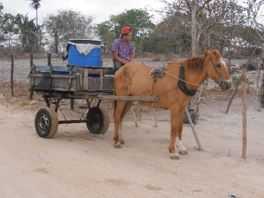 Transporte de longe